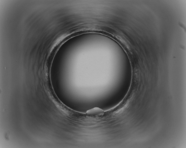 X0000097660981200803071528