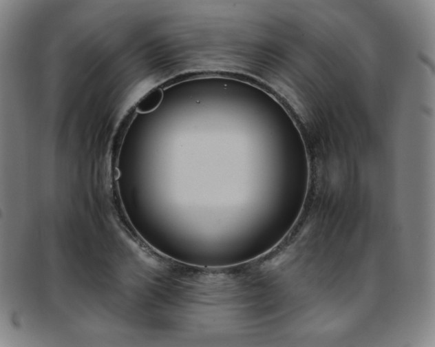 X0000097660982200803071528