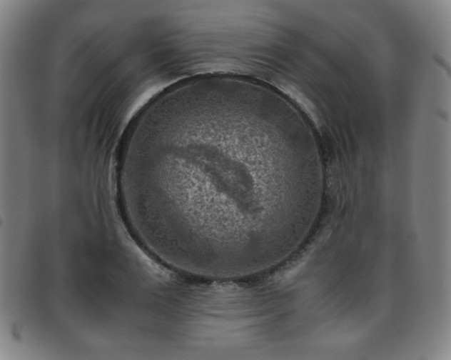 X0000097660983200803071528