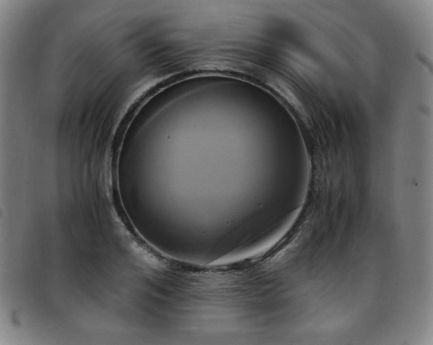 X0000097660984200803071528