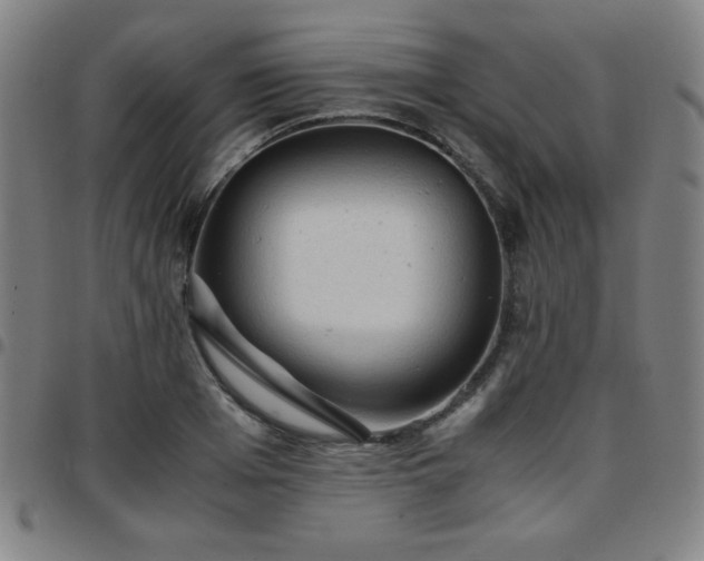 X0000097660985200803071528