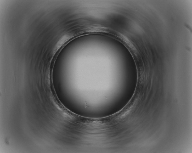 X0000097660986200803071528