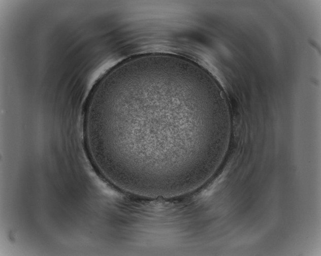 X0000097660987200803071528