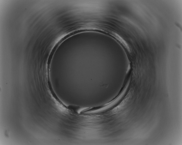X0000097660988200803071528