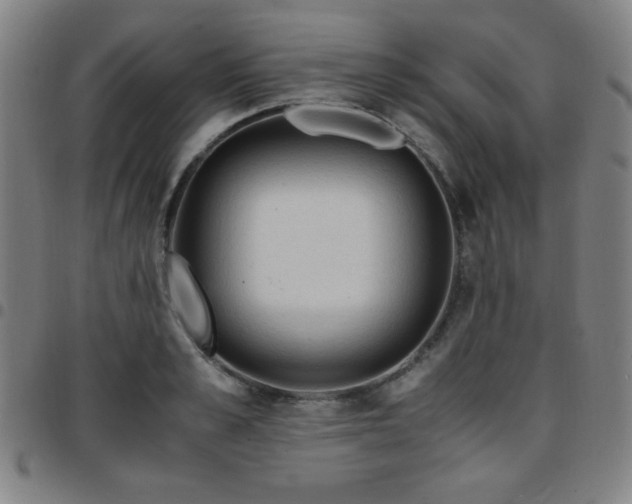 X0000097660989200803071528