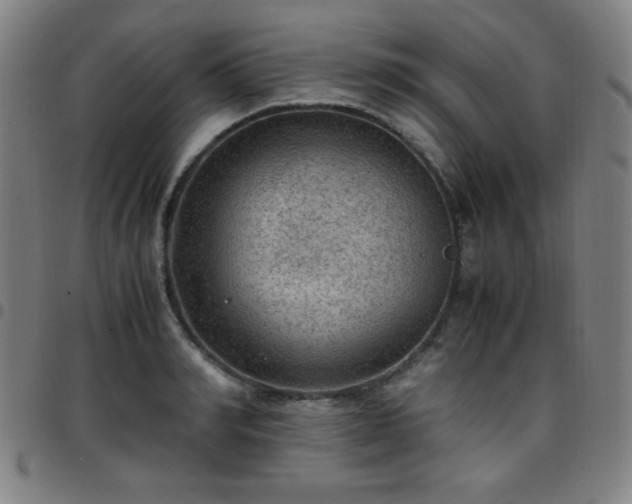 X0000097660990200803071528