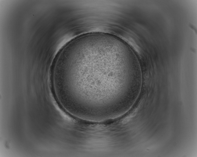 X0000097660991200803071528