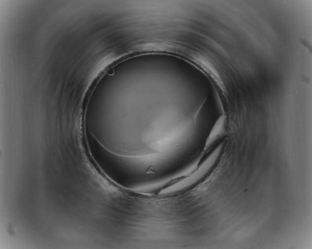 X0000097660992200803071528