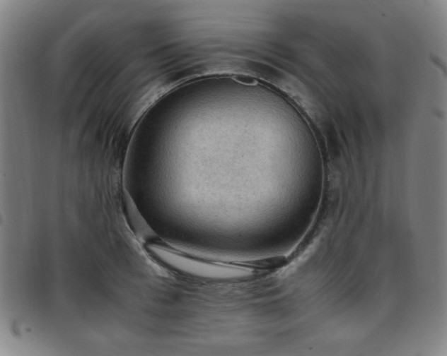 X0000097660993200803071528