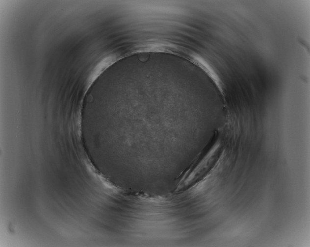 X0000097660994200803071528