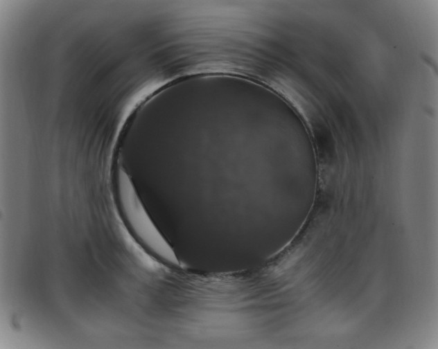 X0000097660995200803071528