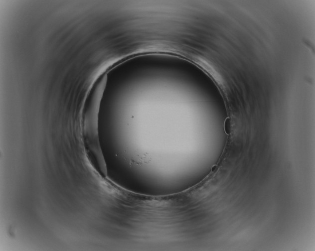 X0000097660996200803071528