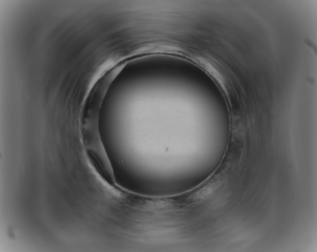 X0000097660997200803071528
