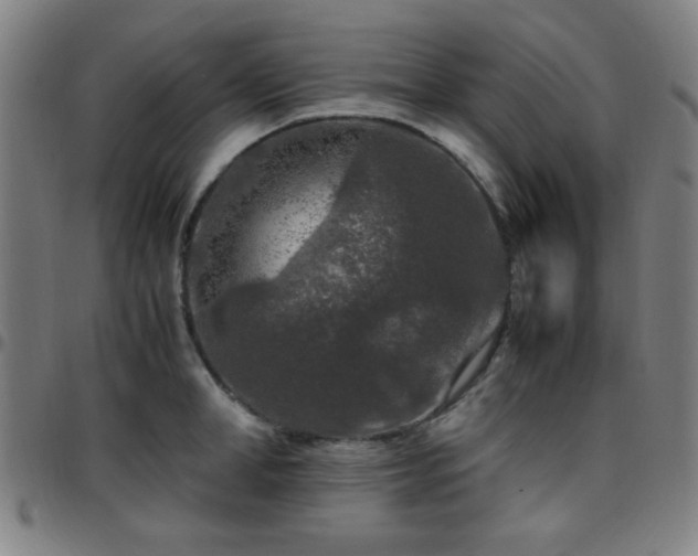 X0000097660998200803071528