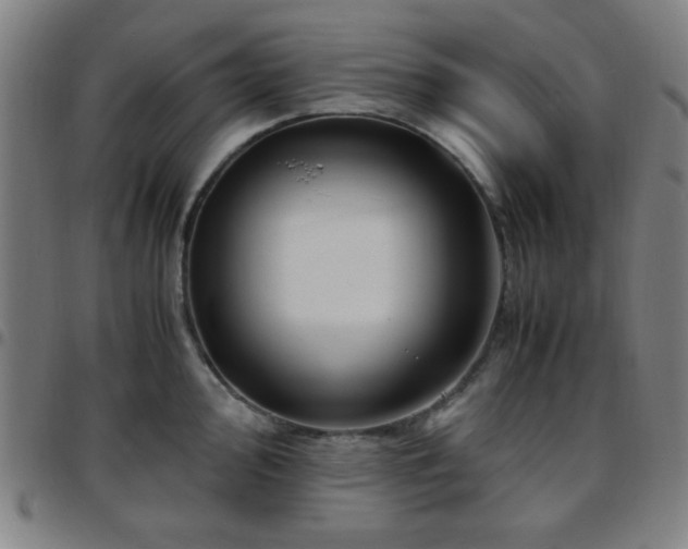 X0000097661000200803071528