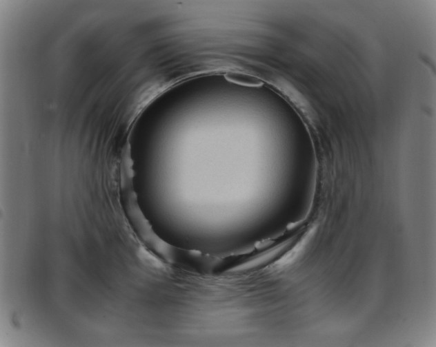 X0000097661001200803071528