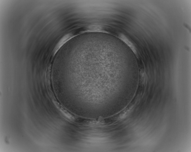X0000097661002200803071527