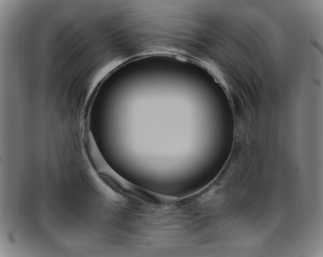 X0000097661003200803071527
