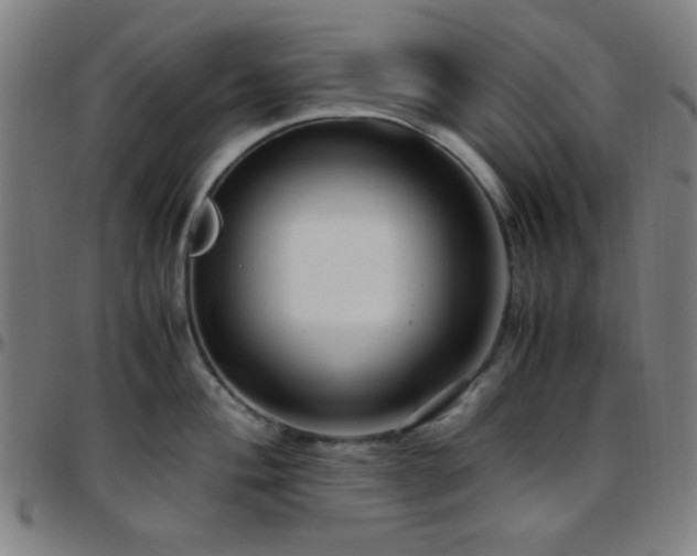 X0000097661004200803071527