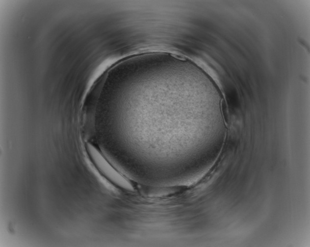 X0000097661005200803071527