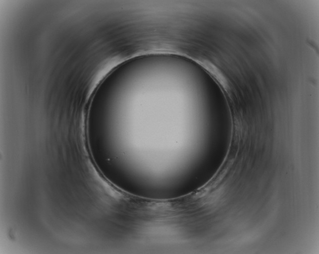 X0000097661006200803071527
