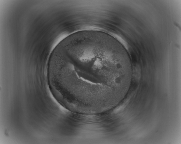X0000097661007200803071527