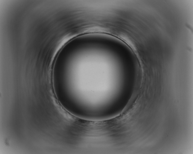 X0000097661008200803071527