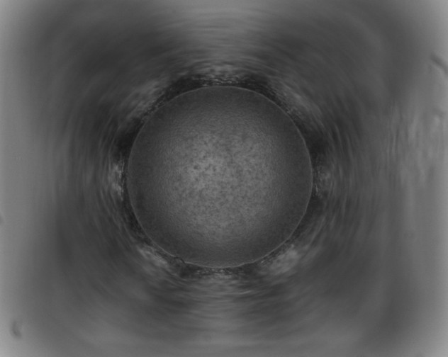 X0000097661010200803071527