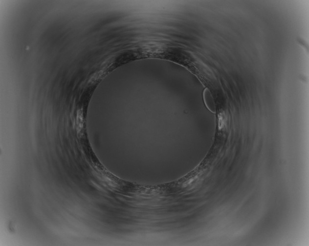 X0000097661011200803071527