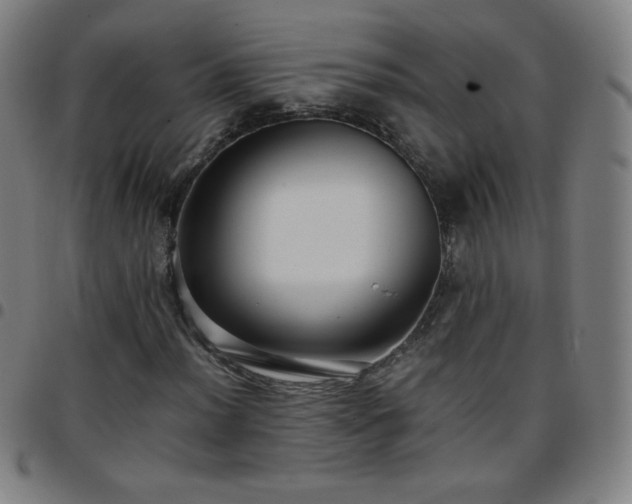 X0000097661012200803071527