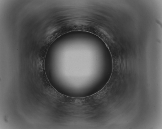 X0000097661013200803071527