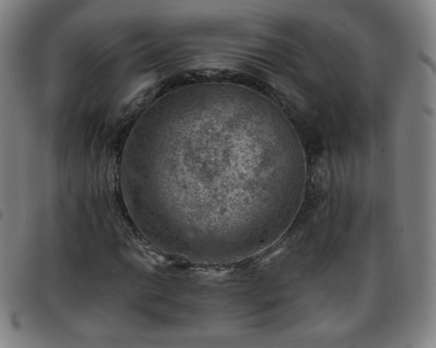 X0000097661014200803071527