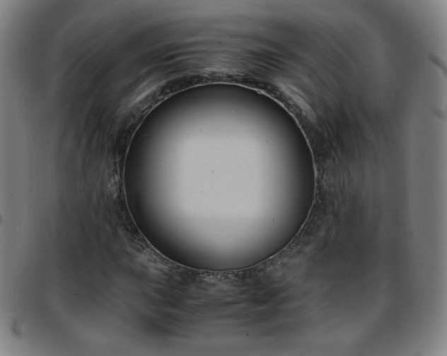 X0000097661015200803071527