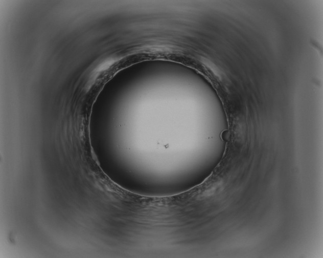 X0000097661016200803071527