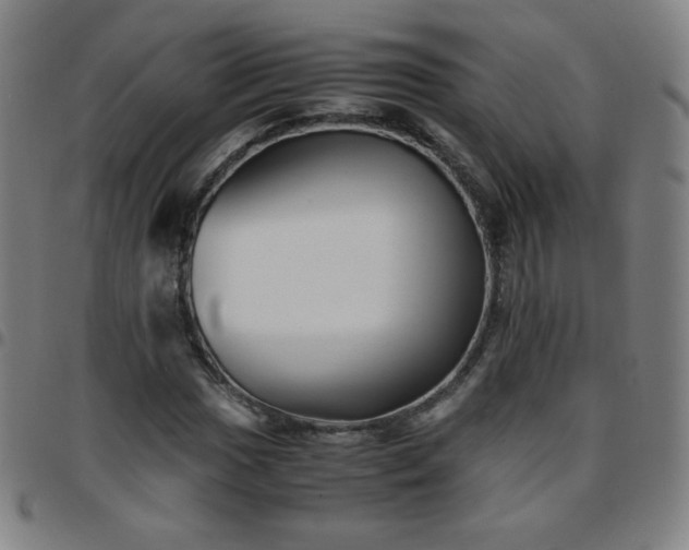 X0000097661017200803071527