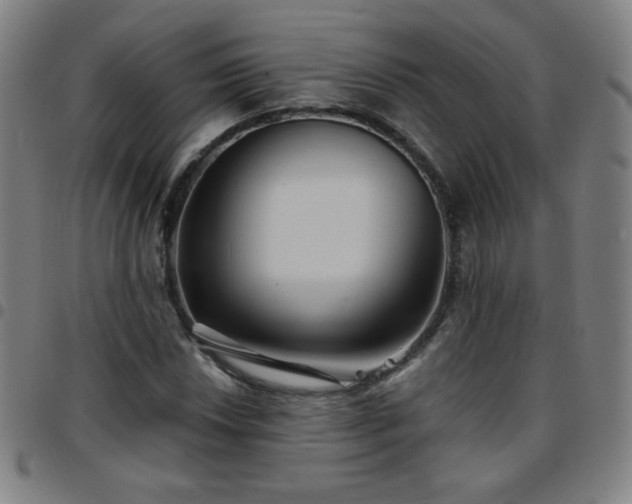 X0000097661018200803071527