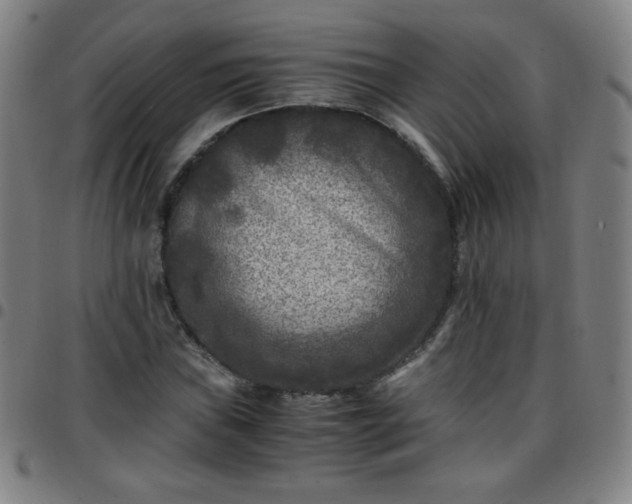 X0000097661019200803071527