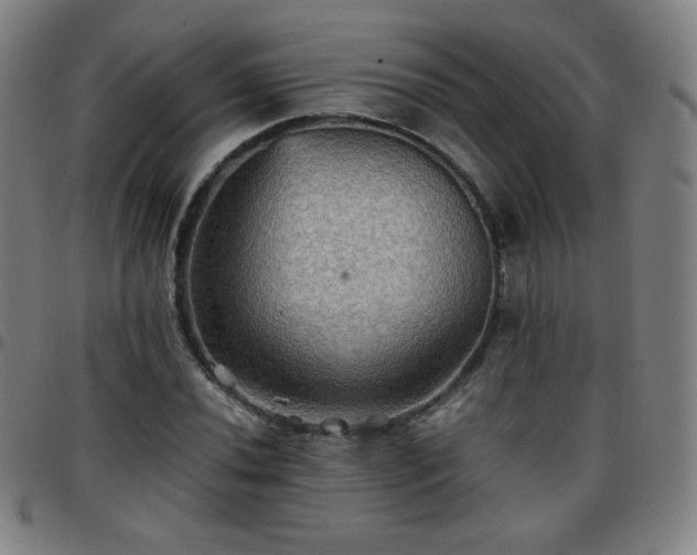 X0000097661020200803071527