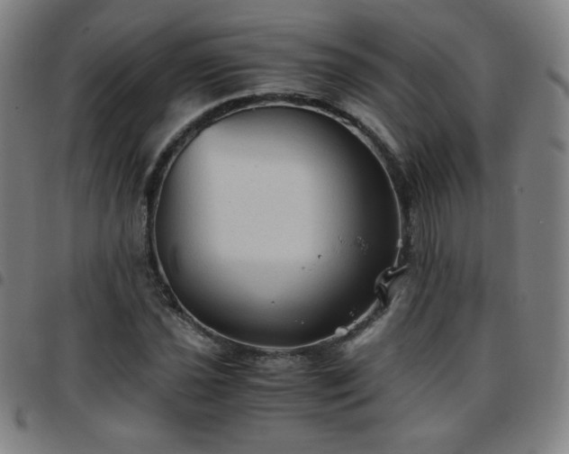 X0000097661021200803071527