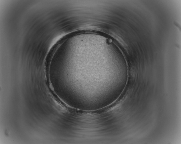 X0000097661022200803071527