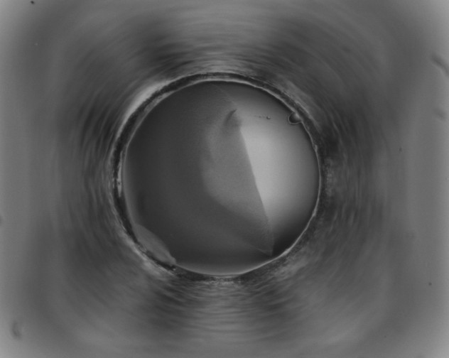 X0000097661024200803071527