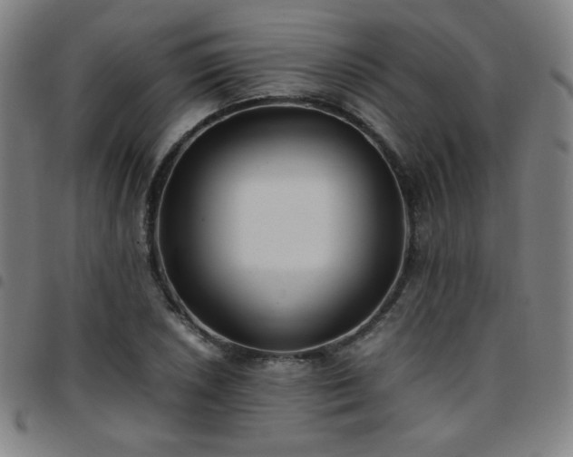 X0000097661026200803071527