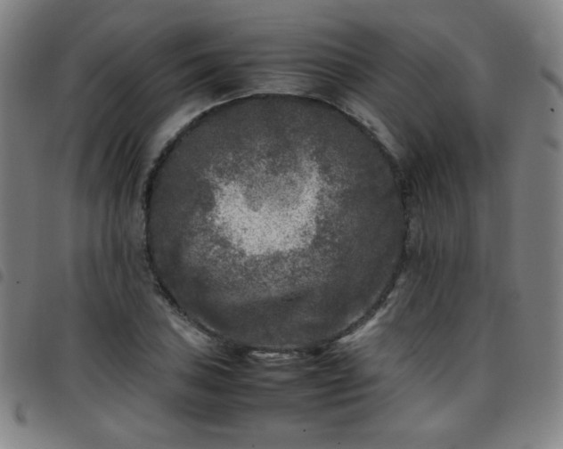 X0000097661027200803071527