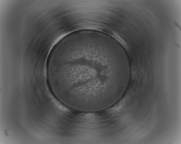 X0000097661028200803071527