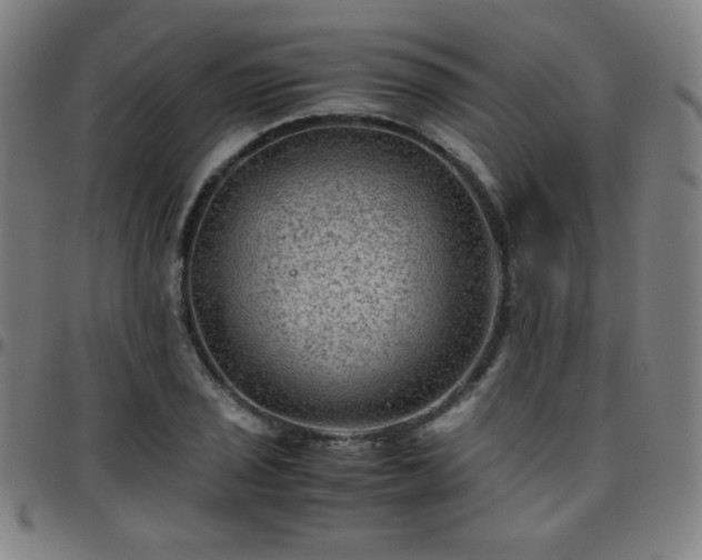 X0000097661029200803071527