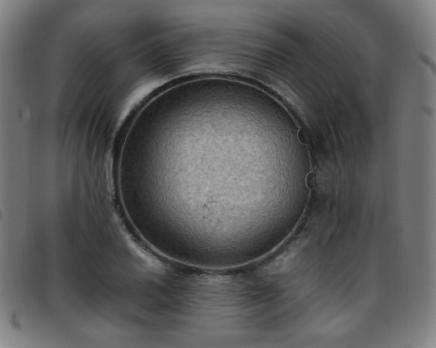 X0000097661030200803071527