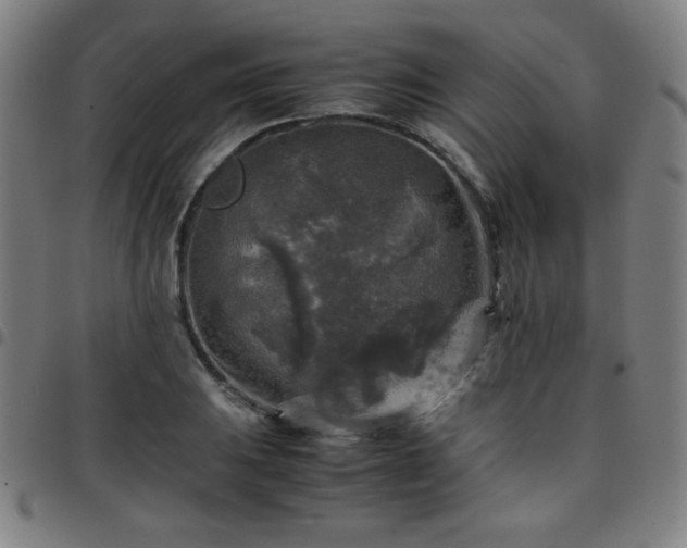 X0000097661031200803071527