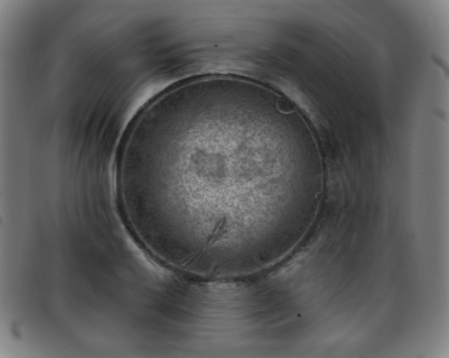 X0000097661032200803071527