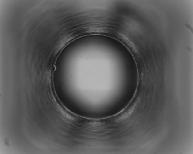X0000097661033200803071527