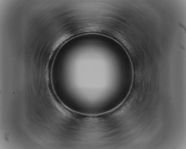 X0000097661034200803071527
